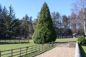 Photo 40- click for photo gallery